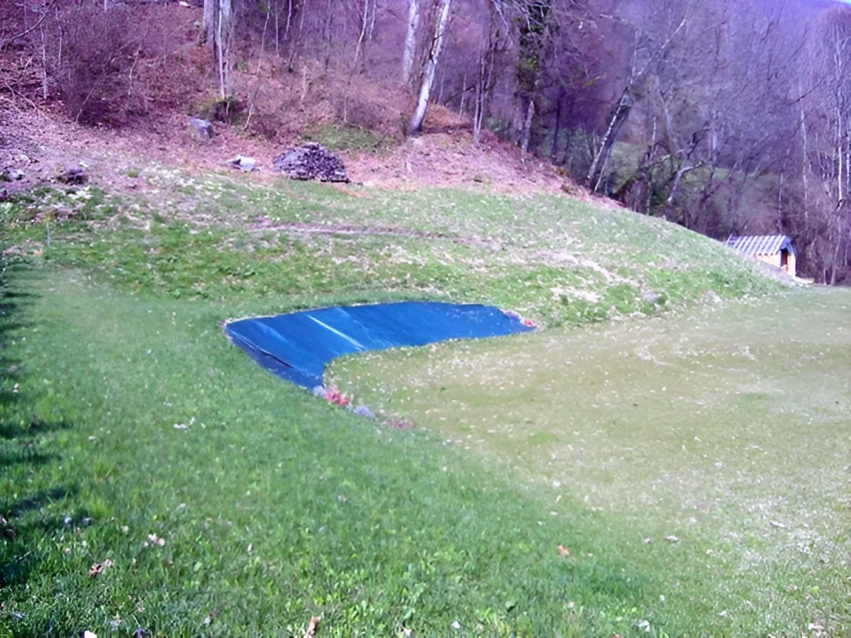 Viret Philippe Arboriculteur Terrassement Aux Mollards Galerie 6